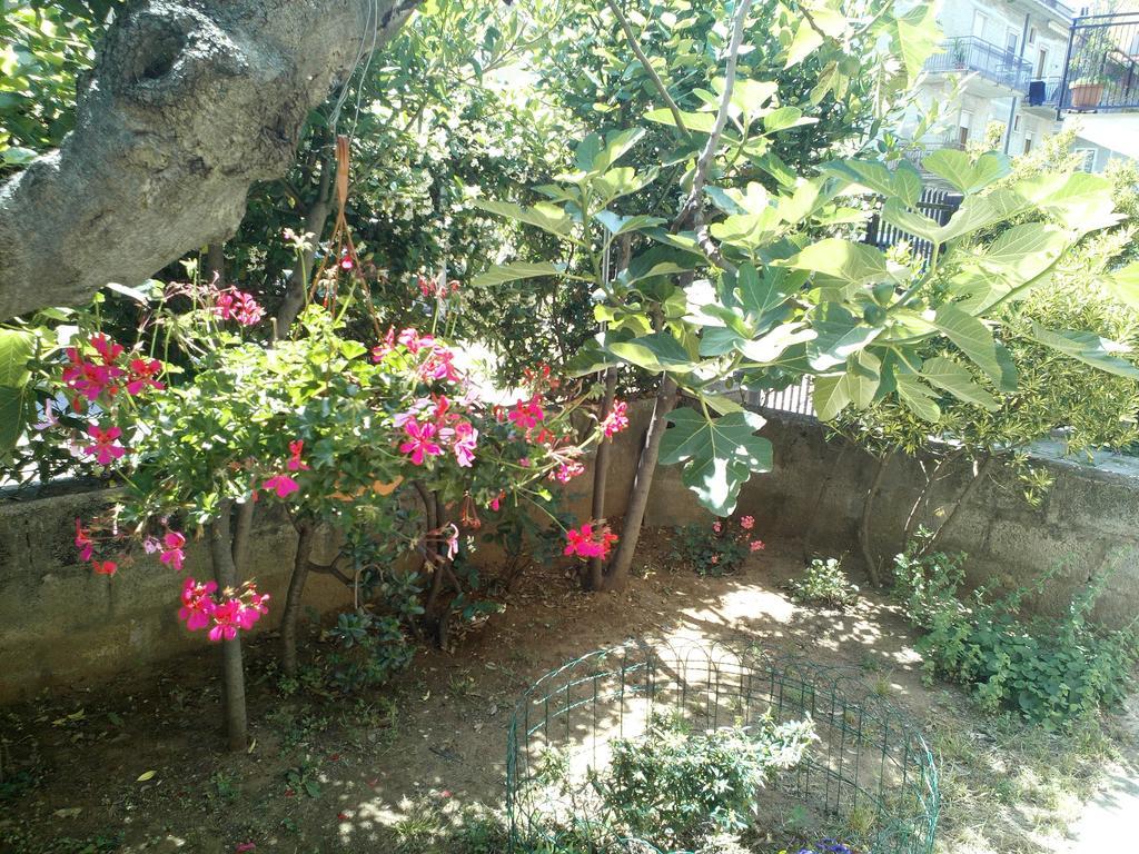 B&B A Casa Di Nonna Fondi Zewnętrze zdjęcie