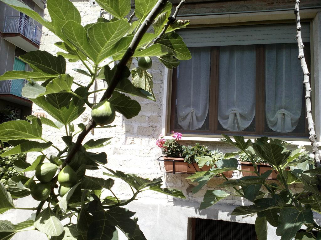 B&B A Casa Di Nonna Fondi Zewnętrze zdjęcie